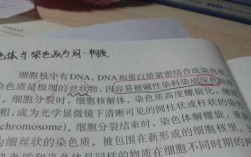 碱性染料能染染色质吗_碱性染料能染染色质吗为什么