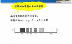 eb染料电泳中染色注意事项（eb染料电泳中染色注意事项是什么）