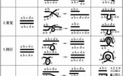 染色体结构变异g染料（染色体结构变异实例）