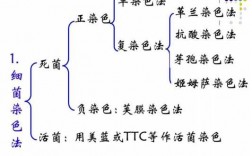 为什么细菌染色一般用碱性染料_细菌染色时间对效果的影响,为什么