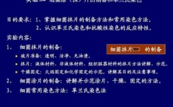 细菌染色为什么碱性染料不一样 细菌染色为什么碱性染料