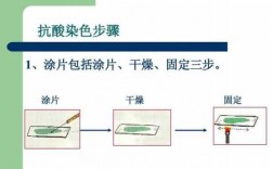 抗酸染色法的染色程序