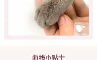 猫指甲钳怎么修复伤口