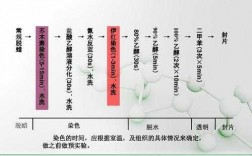 还原染料染色方法如何选用,还原染料的染色过程通常可分为哪几个步骤? 