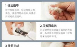 猫指甲钳怎么修复好用图片