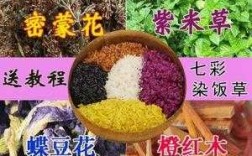 染色花的功效-染色花如何制作染料配方