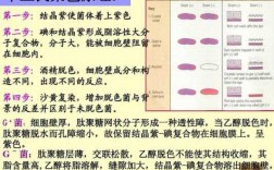 那些印染厂做荧光染料染色_荧光染料染色原理