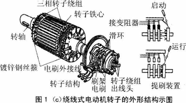 鼠笼式异步发电机转子接线,鼠笼式发电机结构 -图1