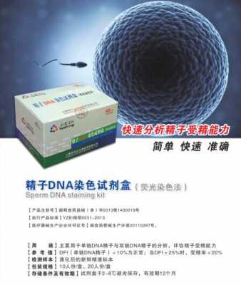 dna染色用什么试剂 dna染色用的荧光染料是-图2