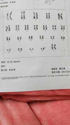  染色体染料是什么意思「染色体是啥意思?」-图3