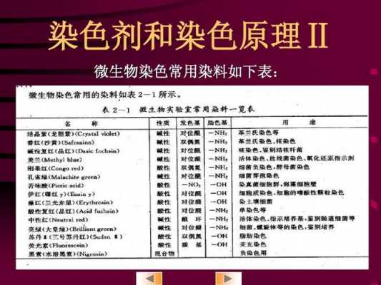  简单染色法使用的染料是「简单染色法的基本原理」-图2