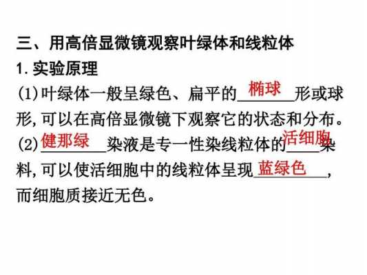 健那绿染料使线粒体染色,用健那绿染液对线粒体的细胞是死的吗? -图3