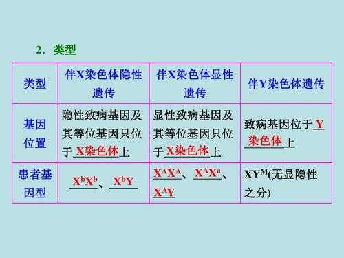  能使染色体着色的染料「能使染色体着色的碱性染料」-图3