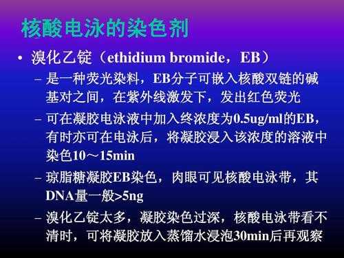 eb染料是否挥发-eb染料是荧光染色剂吗-图2