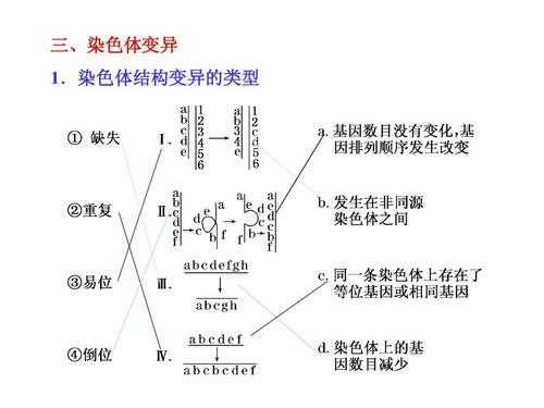 碱性染料染染色体的原理 碱性染色染料是来染谁的-图2