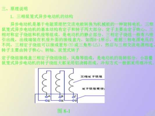 鼠笼异步发电机属于双馈_鼠笼式异步电动机可分为-图3