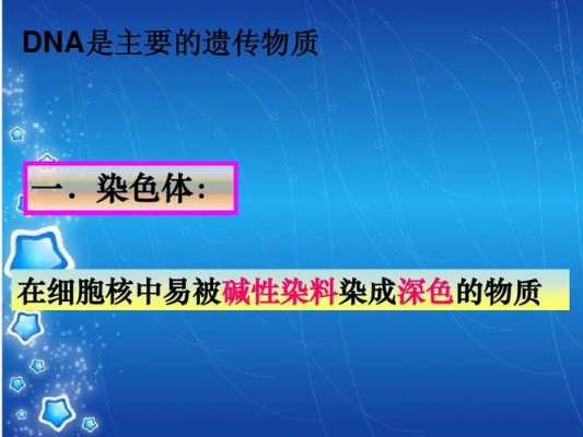 染色体可以被碱性染料染成深色吗-图1