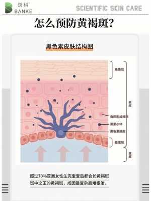 角质层染色推荐哪种染料_角质层染色推荐哪种染料好-图3