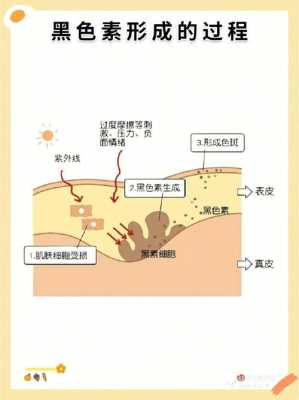 角质层染色推荐哪种染料_角质层染色推荐哪种染料好-图2