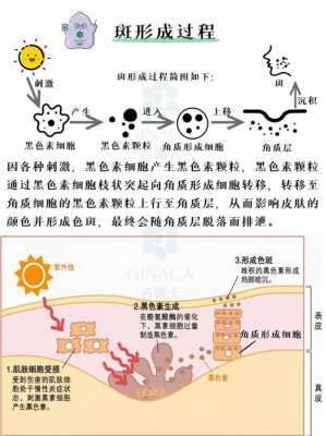 角质层染色推荐哪种染料_角质层染色推荐哪种染料好-图1