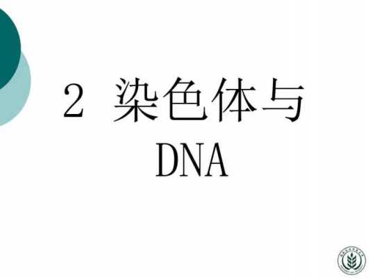  可以染色体染色的染料「可以染色体染色的染料是」-图3