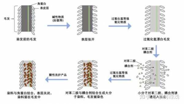 合成染发剂的染发原理是什么-图1