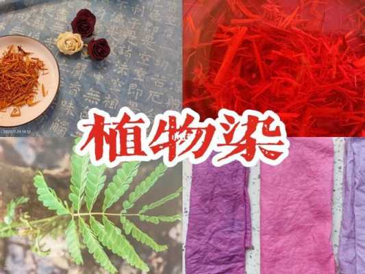 苏木植物染料染色方法有哪些-图2