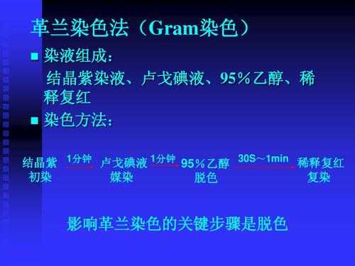 瑞氏染色法的染色原理是 瑞氏染色时使用的染料是-图2