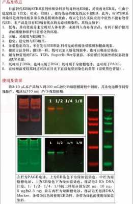 核酸染料会挥发吗 跑完胶后核酸染料染色浓度-图2