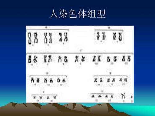 常用染色体 常见染色体染料种类-图3