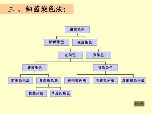 细菌染色一般用什么染料_细菌染色方法有哪几种及作用有哪些-图1