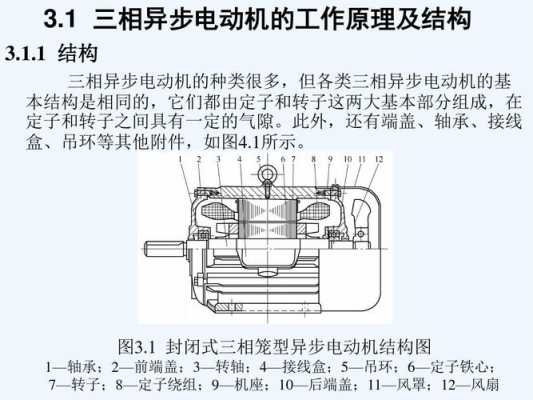 三相异步电动机不发电机（三相异步电动机不转是怎么回事）-图3