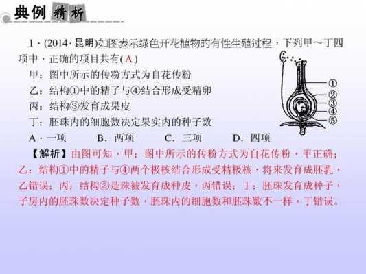 胚珠染色用什么染料比较好_胚珠 胚-图3