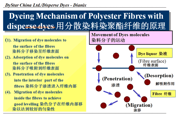 分散染料上染纤维的模型-图1