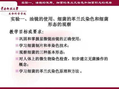 细菌镜检用什么染料染色,细菌的染色标本要用油镜观察,如何操作 -图3