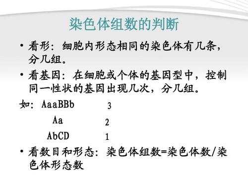 用于染色体的碱性染料_用于染色体的碱性染料是-图1