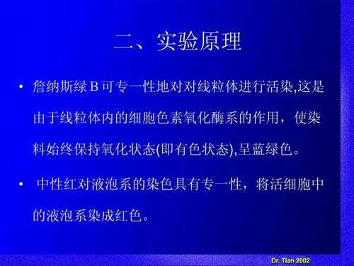 线粒体用什么染料染色的_线粒体用什么染料染色的最多-图1