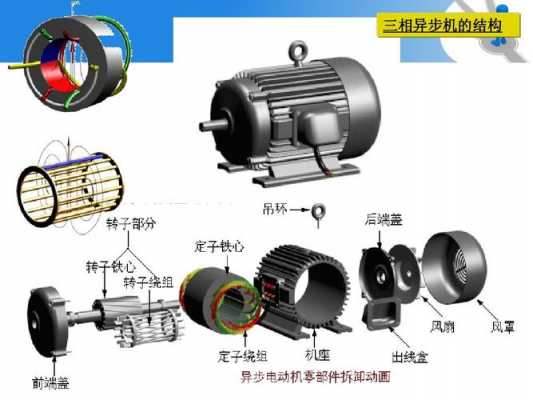  单相异步发电机的结构组成「单相异步电机结构及其工作原理」-图3