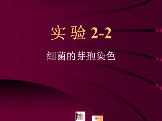 细菌染色为什么碱性染料不一样 细菌染色为什么碱性染料-图3