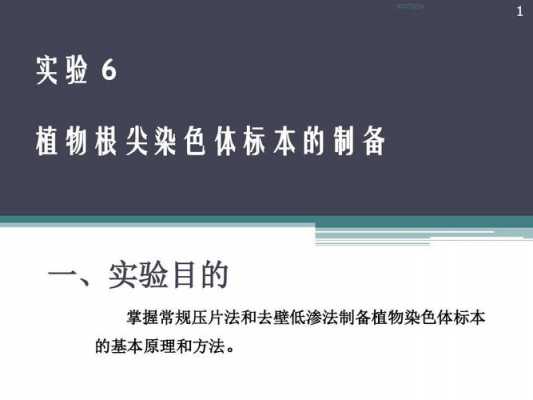 植物染色体标本制备方法-植物标本制作染色的染料-图2