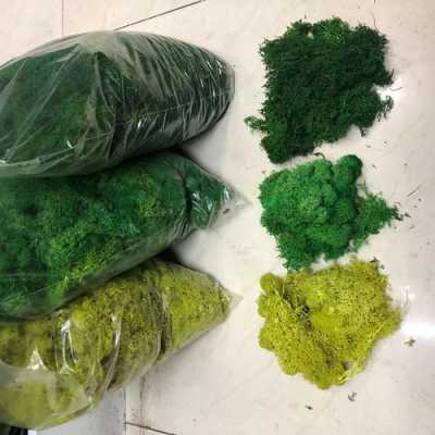 青苔颜色是怎么调配 植物染料青苔染色哪里有售-图3