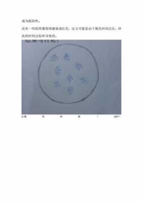 功能染料染色实验报告-功能染料染色-图2