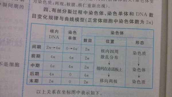 为什么染色体染色需要碱性溶液-图2