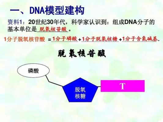 dna呈碱性-图2