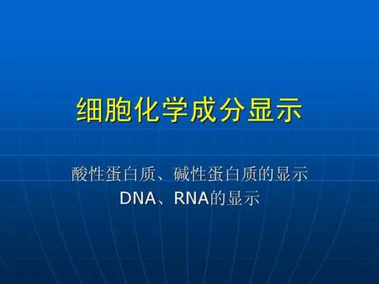 dna呈碱性-图3