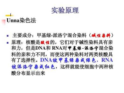 核酸的染色方法优缺点比较 核酸染料使dna染色的原理-图3