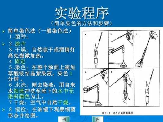 革兰染色的操作流程-革兰染色染料及步骤-图3