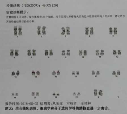 染色体筛查查的是哪里的染料-图1