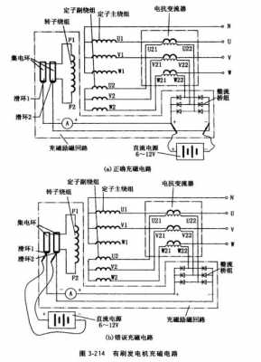 三相交流发电机充磁方式 三相异步发电机充磁方法-图1