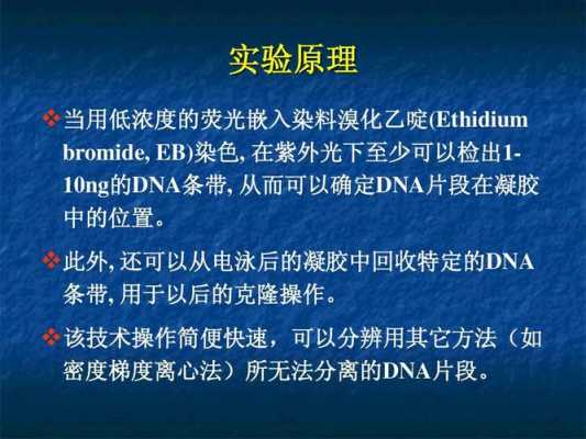  凝胶电泳用染料染色的原理「凝胶电泳用染料染色的原理是」-图1